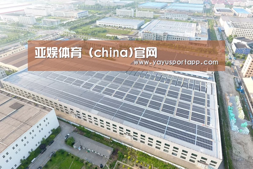 案例展示一