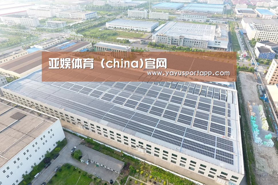 案例展示二