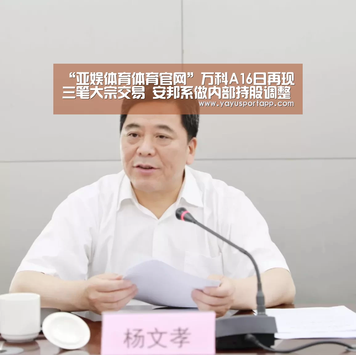 亚娱体育体育
