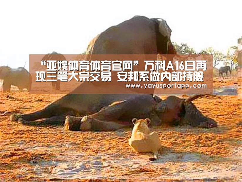 亚娱体育体育